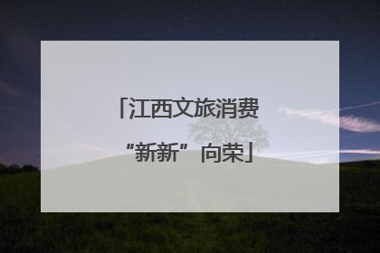 江西文旅消费“新新”向荣