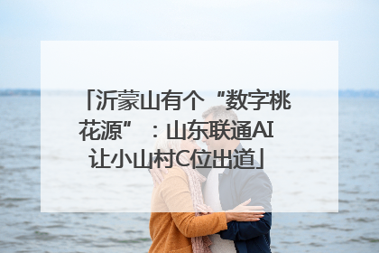 沂蒙山有个“数字桃花源”：山东联通AI让小山村C位出道