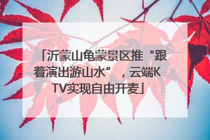 沂蒙山龟蒙景区推“跟着演出游山水”，云端KTV实现自由开麦