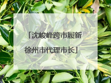 沈峻峰跨市履新徐州市代理市长