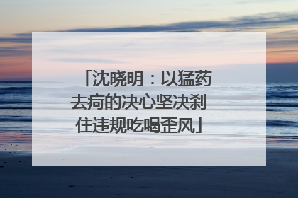 沈晓明：以猛药去疴的决心坚决刹住违规吃喝歪风