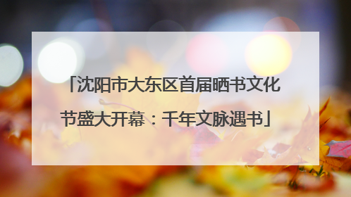 沈阳市大东区首届晒书文化节盛大开幕：千年文脉遇书