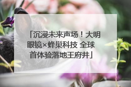 沉浸未来声场！大明眼镜×蜂巢科技 全球首体验落地王府井