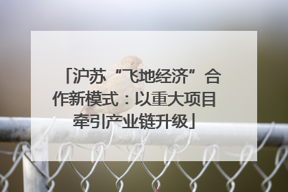 沪苏“飞地经济”合作新模式：以重大项目牵引产业链升级