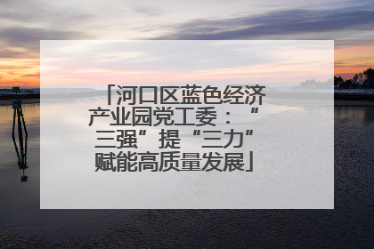河口区蓝色经济产业园党工委：“三强”提“三力”赋能高质量发展