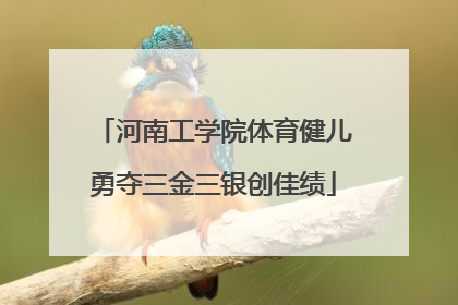河南工学院体育健儿勇夺三金三银创佳绩