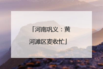河南巩义：黄河滩区麦收忙
