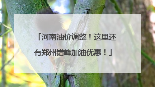 河南油价调整！这里还有郑州错峰加油优惠！
