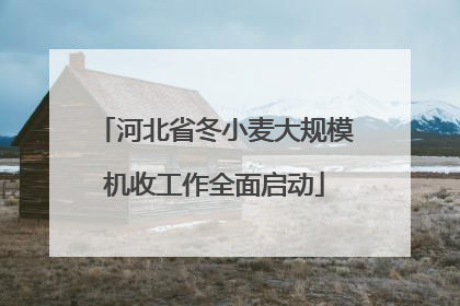 河北省冬小麦大规模机收工作全面启动