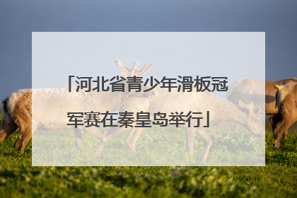河北省青少年滑板冠军赛在秦皇岛举行