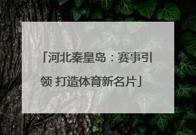 河北秦皇岛：赛事引领 打造体育新名片