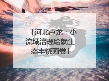 河北卢龙：小流域治理绘就生态丰饶画卷
