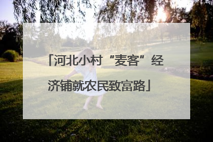 河北小村“麦客”经济铺就农民致富路