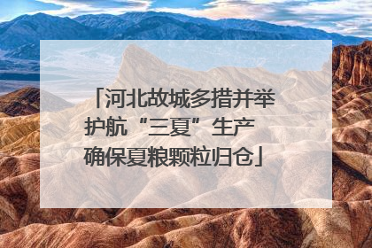 河北故城多措并举护航“三夏”生产 确保夏粮颗粒归仓