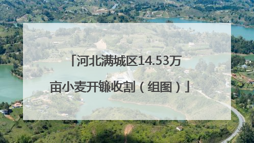 河北满城区14.53万亩小麦开镰收割（组图）
