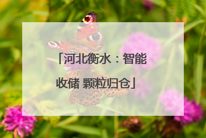 河北衡水：智能收储 颗粒归仓