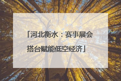 河北衡水：赛事展会搭台赋能低空经济