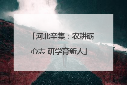 河北辛集：农耕砺心志 研学育新人