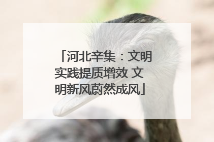 河北辛集：文明实践提质增效 文明新风蔚然成风