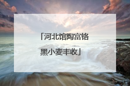 河北馆陶富铬黑小麦丰收