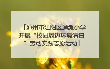 泸州市江阳区通滩小学开展“校园周边环境清扫”劳动实践志愿活动