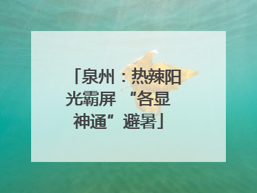 泉州：热辣阳光霸屏 “各显神通”避暑