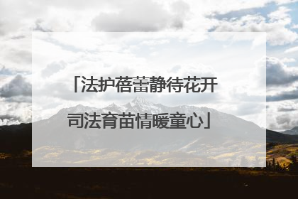 法护蓓蕾静待花开 司法育苗情暖童心