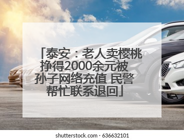 泰安：老人卖樱桃挣得2000余元被孙子网络充值 民警帮忙联系退回