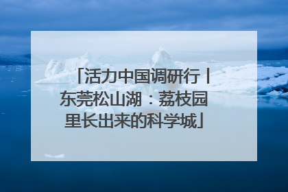 活力中国调研行丨东莞松山湖：荔枝园里长出来的科学城