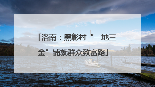 洛南：黑彰村“一地三金”铺就群众致富路