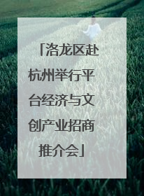 洛龙区赴杭州举行平台经济与文创产业招商推介会