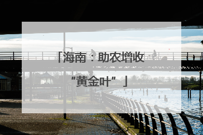 海南：助农增收 “黄金叶”