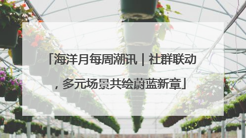海洋月每周潮讯｜社群联动，多元场景共绘蔚蓝新章