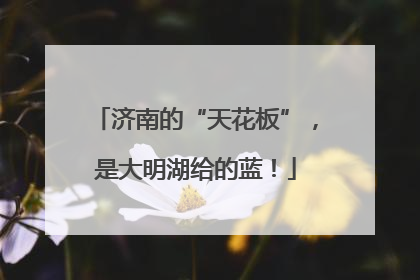 济南的“天花板”，是大明湖给的蓝！
