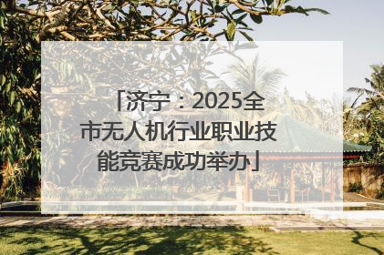 济宁：2025全市无人机行业职业技能竞赛成功举办