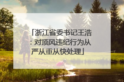 浙江省委书记王浩：对顶风违纪行为从严从重从快处理