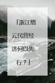 浙江缙云民营经济何以先行？