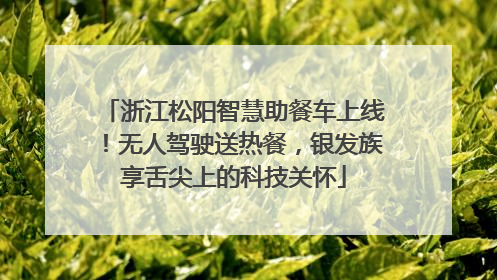 浙江松阳智慧助餐车上线！无人驾驶送热餐，银发族享舌尖上的科技关怀