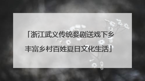 浙江武义传统婺剧送戏下乡 丰富乡村百姓夏日文化生活
