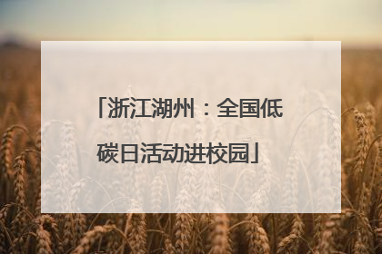 浙江湖州：全国低碳日活动进校园