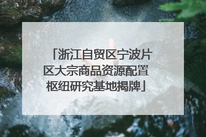 浙江自贸区宁波片区大宗商品资源配置枢纽研究基地揭牌
