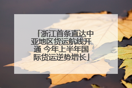 浙江首条直达中亚地区货运航线开通 今年上半年国际货运逆势增长