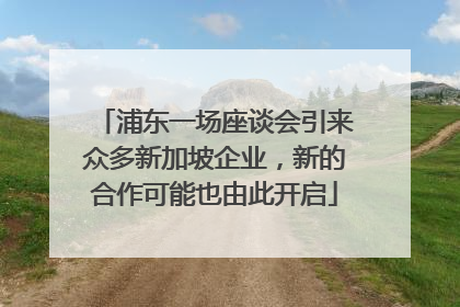 浦东一场座谈会引来众多新加坡企业，新的合作可能也由此开启