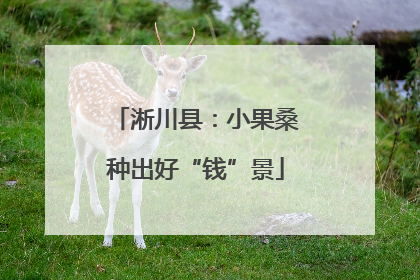 淅川县：小果桑种出好“钱”景