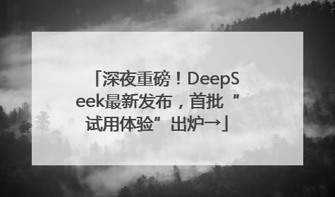 深夜重磅！DeepSeek最新发布，首批“试用体验”出炉→