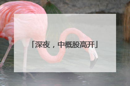深夜，中概股高开