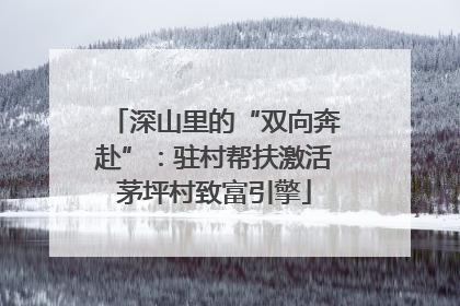 深山里的“双向奔赴”：驻村帮扶激活茅坪村致富引擎