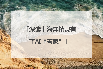 深读丨海洋精灵有了AI“管家”
