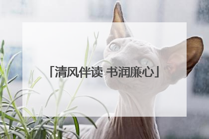 清风伴读 书润廉心