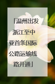 温州出发 浙江至中亚首条国际公路运输线路开通